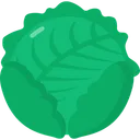 Free Cabbage Vegetable Food Icon