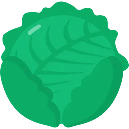 Free Cabbage  Icon