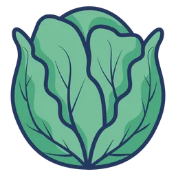 Free Cabbage  Icon