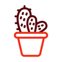 Free Cactus Plant Nature Icon