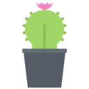 Free Cactus  Icon