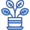 Free Calathea Plant Indoor Icon