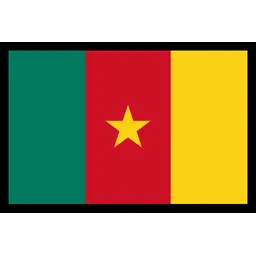 Free Cameroon Flag Flag Icon