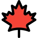 Free Canadian Maple Leaf Technology Logo Social Media Logo Icon