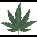 Free Cannabis Leaf Medical Medical Plant Icon