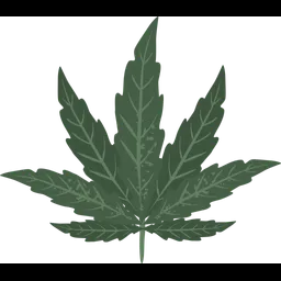 Free Cannabis leaf  Icon