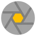 Free Capture  Icon