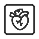 Free Cardiology  Icon