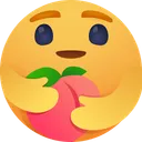 Free Peach Fruit Hug Icon