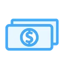 Free Cash  Icon