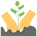Free Celery Seedling Seed Germination Planting Icon