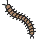 Free Centipede Bug Insect Icon