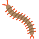 Free Centipede Bug Insect Icon