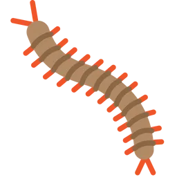 Free Centipede  Icon