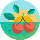 Free Cherries  Icon