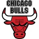 Free Chicago Bulls Company Icon