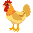Free Bird Chicken Domestic Animal Icon