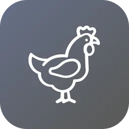 Free Chicken  Icon