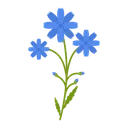 Free Chicory  Icon