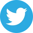 Free Circulo De Twitter Twitter Redes Sociales Icono