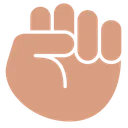 Free Clenched Fist Hand Icon