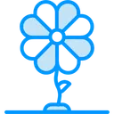 Free Clover Shamrock Irish Icon