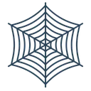 Free Cobweb Spider Net Icon