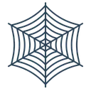 Free Cobweb Spider Net Icon