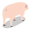 Free Cochon Icône