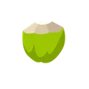 Free Coconut Icon
