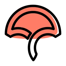 Free Code Cov Logo Icon