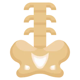 Free Columna vertebral  Icon