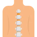 Free Columna vertebral humana  Icono