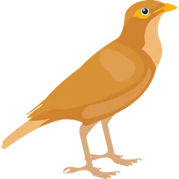 Free Common Myna  Icon