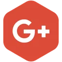Free Connection Google Plus Icon