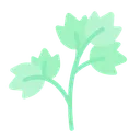 Free Coriander  Icon