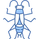 Free Cricket Insect Chirping Animal Kingdom Icon