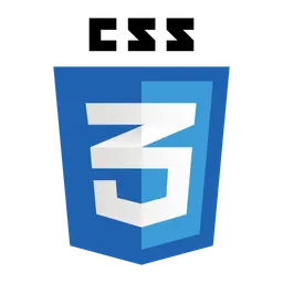 css3