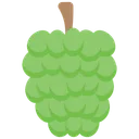 Free Custard apple  Icon