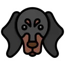 Free Dachshund  Icon