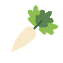 Free Daikon Vegetable Food Icon