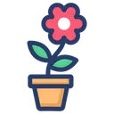 Free Daisy Flower Chamomile Blossom Icon