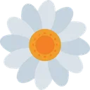 Free Daisy  Icon