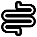 Free Darm Organ Medizin Symbol