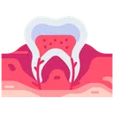 Free Dental Nerve  Icon