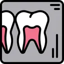 Free Dental x - ray  Icon
