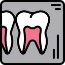 Free Dental X Ray Teeth Report Teeth Checkup Icon