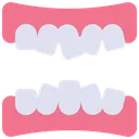 Free Perder Dentes Estrutura Dentaria Dentes Nascidos Ícone