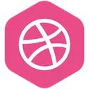 Free Design Dribbble Portfolio Icon