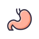 Free Digestion Stomach Getroenterology Icon